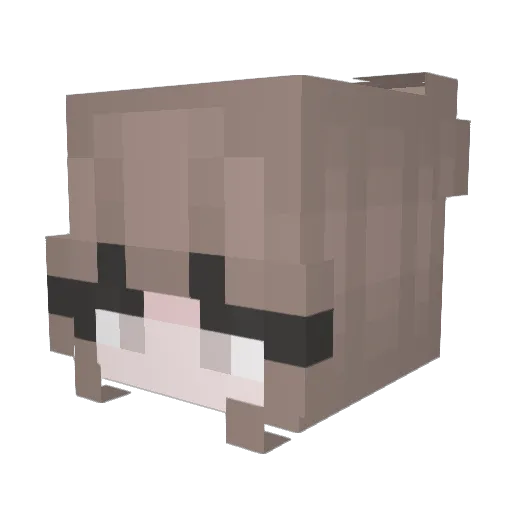 anni_exe_ Minecraft avatar head, 3D render