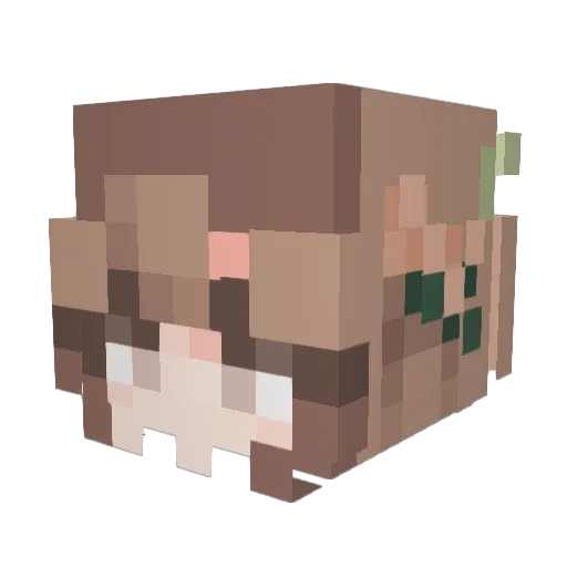 annibananni1331 Minecraft avatar head, 3D render