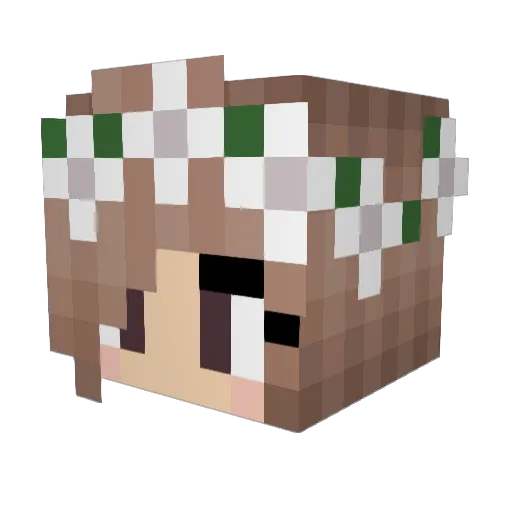 annie2006 Minecraft avatar head, 3D render