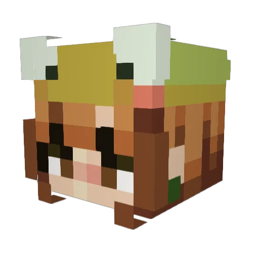 anniibunnii Minecraft avatar head, 3D render