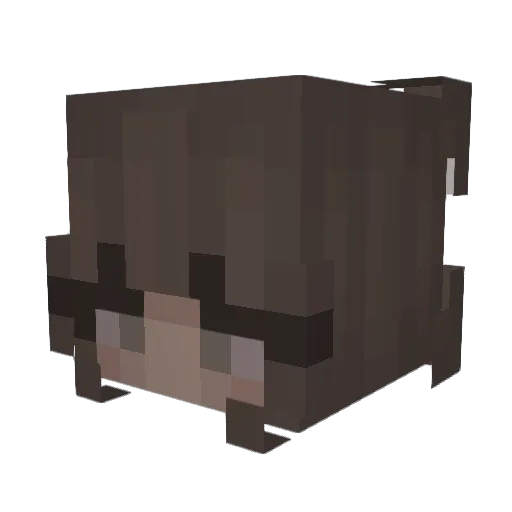 annijaiscool Minecraft avatar head, 3D render