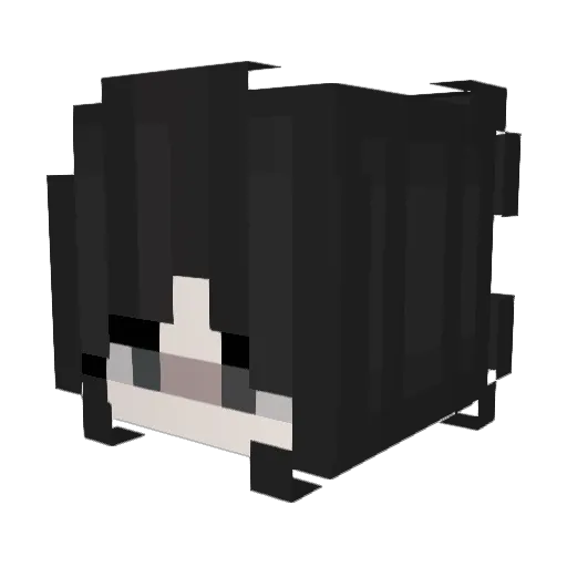 annlxx Minecraft avatar head, 3D render