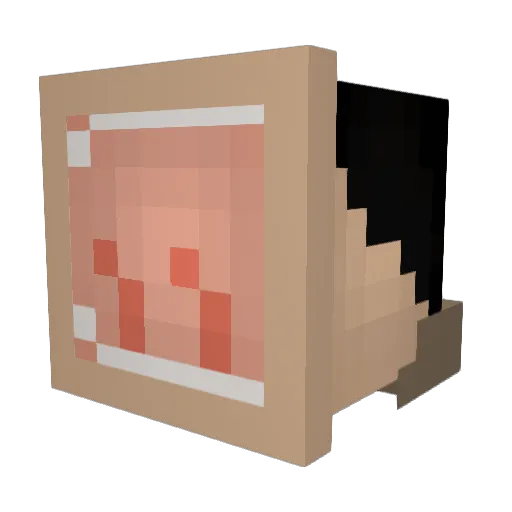 annnapanda Minecraft avatar head, 3D render