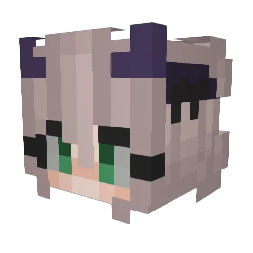 annsess Minecraft avatar head, 3D render