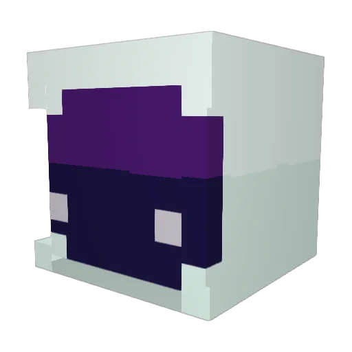annsnarwhal Minecraft avatar head, 3D render