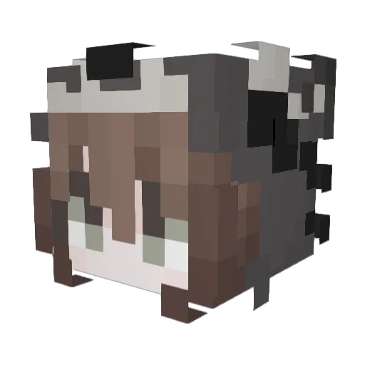 anntrw Minecraft avatar head, 3D render