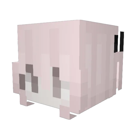 annwi Minecraft avatar head, 3D render