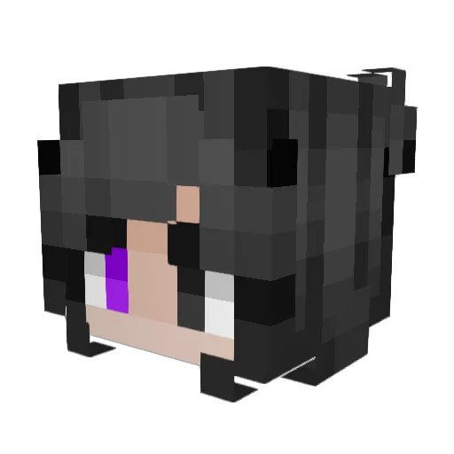 anny_ion Minecraft avatar head, 3D render