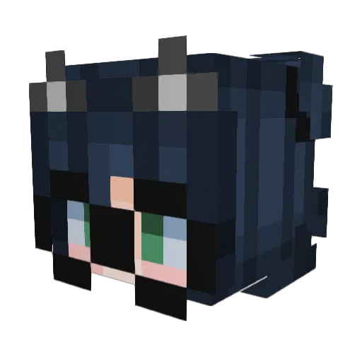 annye4529 Minecraft avatar head, 3D render