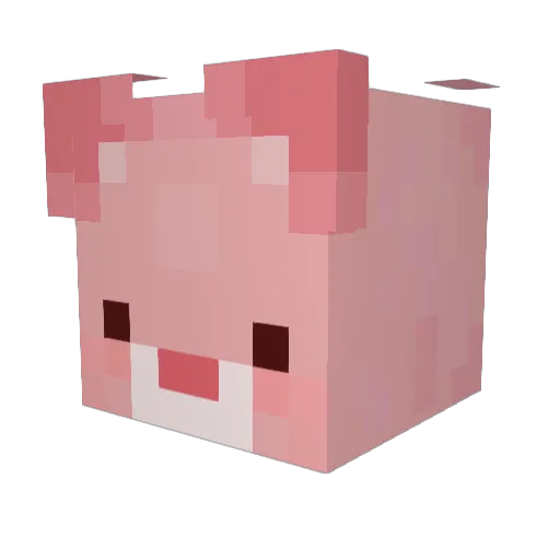 ano_n Minecraft avatar head, 3D render