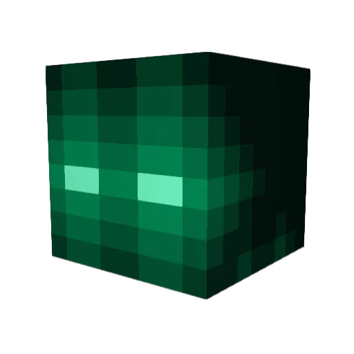 anobody3 Minecraft avatar head, 3D render