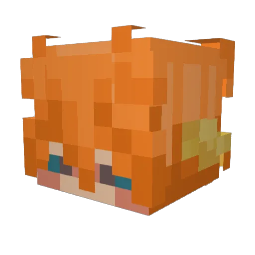 anoe74z Minecraft avatar head, 3D render