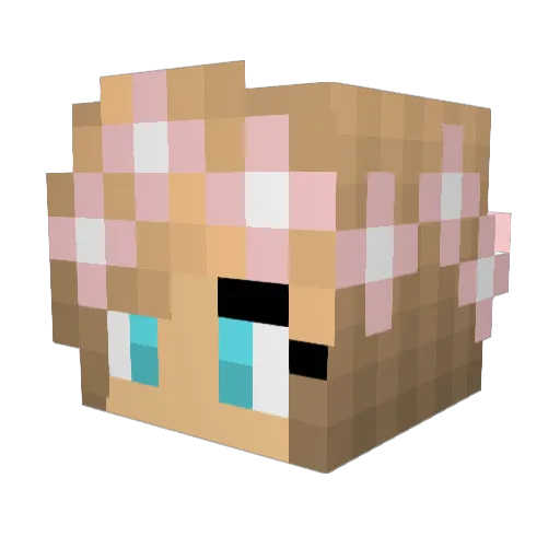 anoekah Minecraft avatar head, 3D render