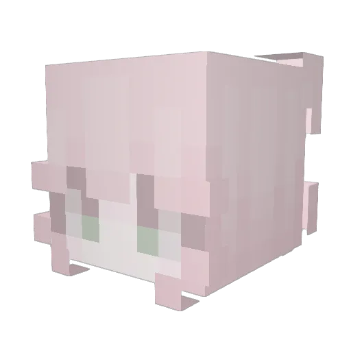 anokz Minecraft avatar head, 3D render
