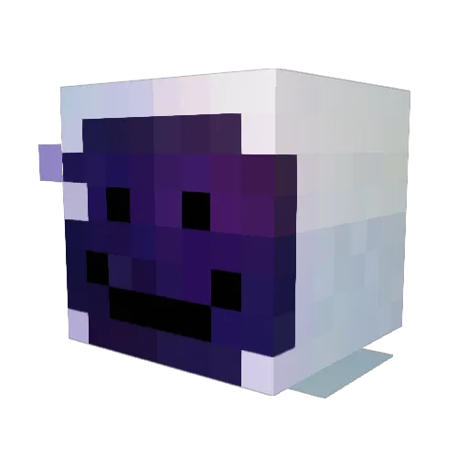 anomaSO171 Minecraft avatar head, 3D render