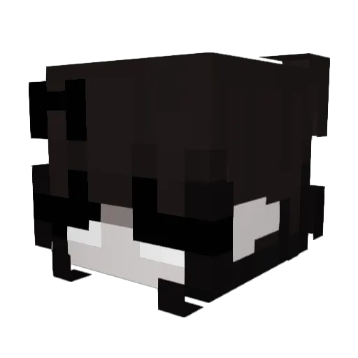 anomalee_ Minecraft avatar head, 3D render