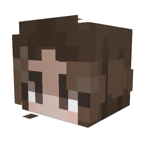 anomaleyy Minecraft avatar head, 3D render