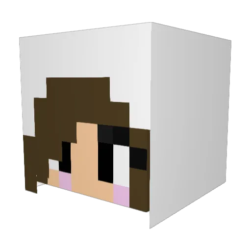 anomar01 Minecraft avatar head, 3D render
