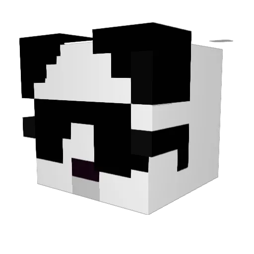 anon_RB Minecraft avatar head, 3D render