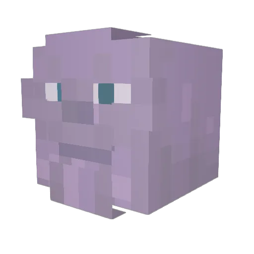 anon_ostrich Minecraft avatar head, 3D render