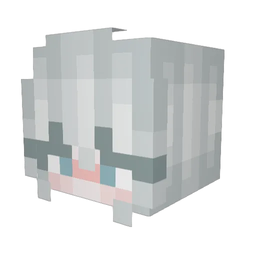 anonamasly Minecraft avatar head, 3D render