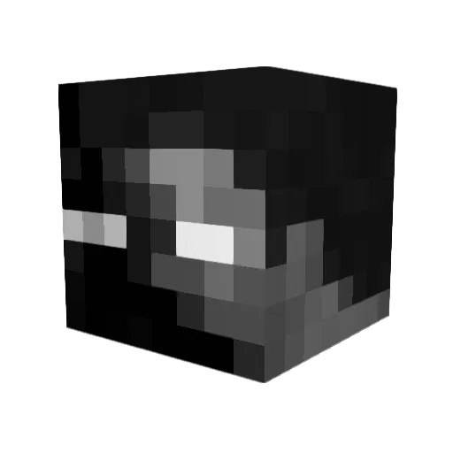 anonim4607 Minecraft avatar head, 3D render
