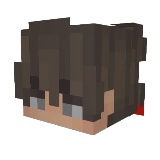 anonimek21 Minecraft avatar head, 3D render