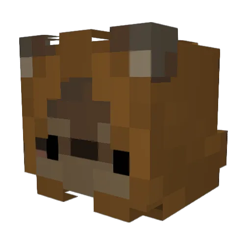 anonso_jawe Minecraft avatar head, 3D render
