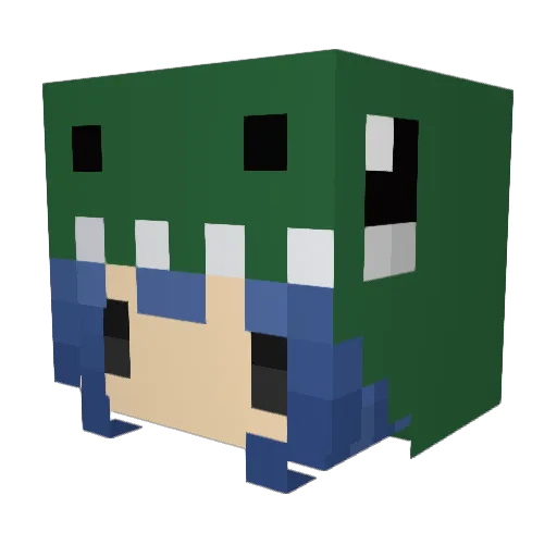 anonym Minecraft avatar head, 3D render
