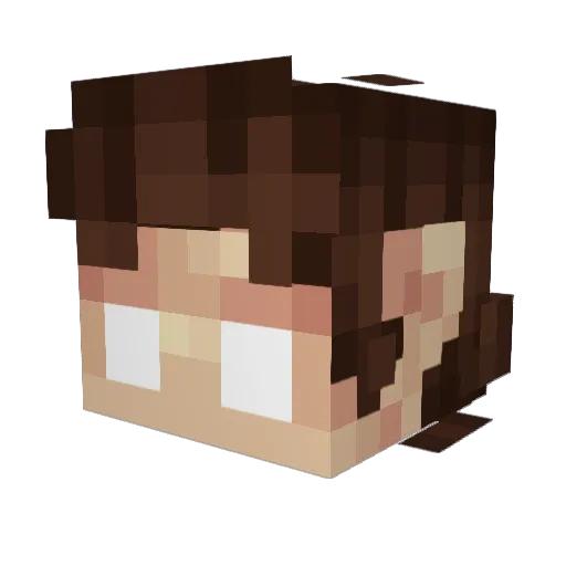 anonym_1014 Minecraft avatar head, 3D render