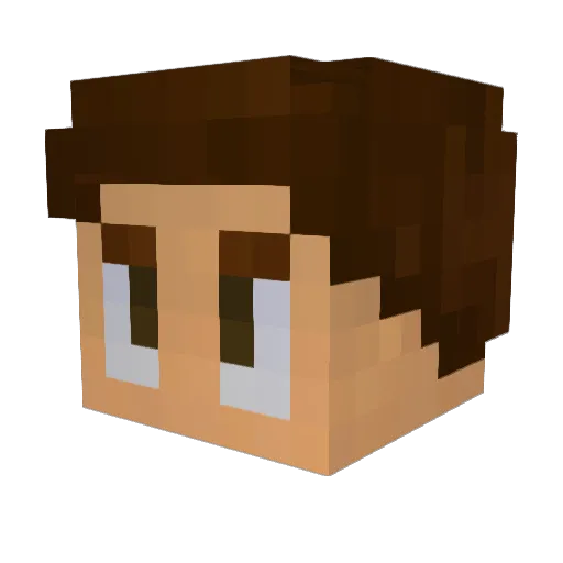 anonymous124 Minecraft avatar head, 3D render