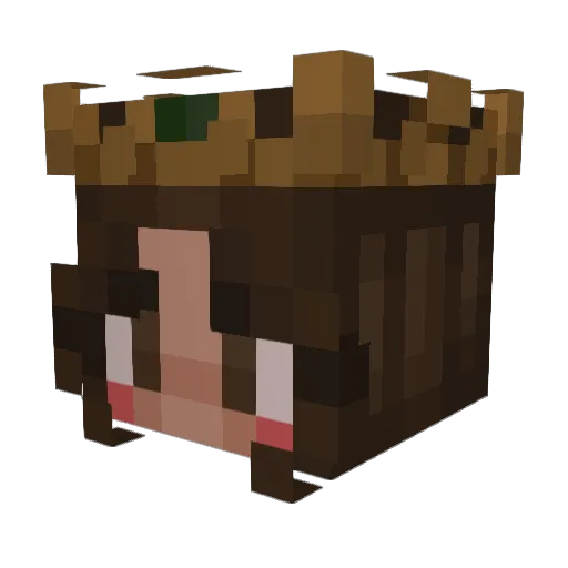 anonymous_kiwi Minecraft avatar head, 3D render
