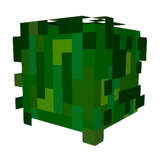 anonymous_source Minecraft avatar head, 3D render