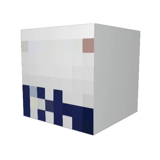 anonymousquid Minecraft avatar head, 3D render