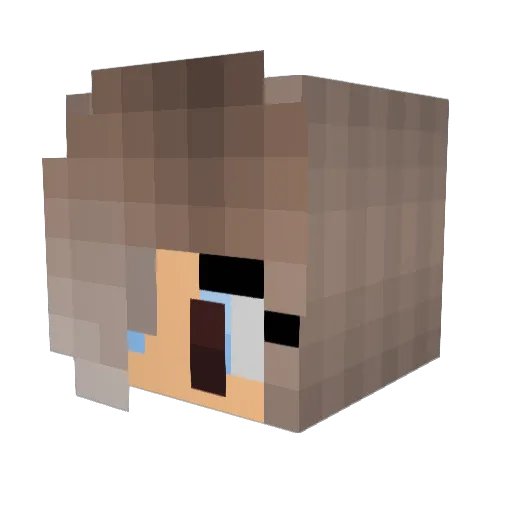 anonymousx_O Minecraft avatar head, 3D render