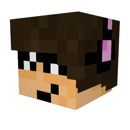 anoos7 Minecraft avatar head, 3D render