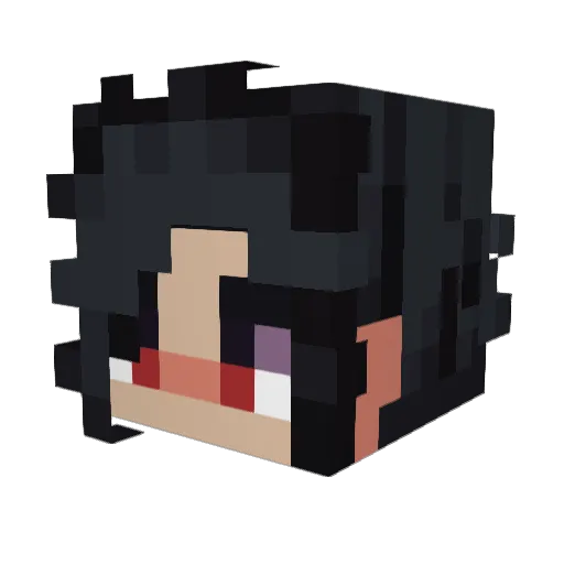 anopEtoN Minecraft avatar head, 3D render