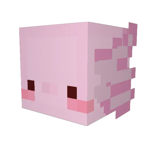 anork_ Minecraft avatar head, 3D render