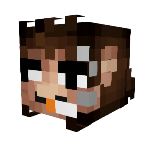 anostz Minecraft avatar head, 3D render