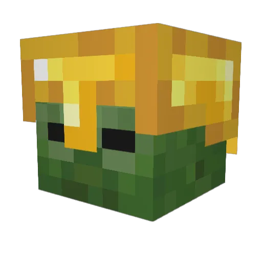 anote Minecraft avatar head, 3D render