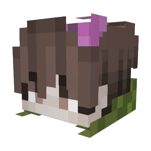 anotheralp Minecraft avatar head, 3D render