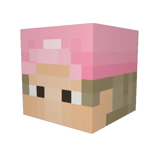 anothereleanor Minecraft avatar head, 3D render