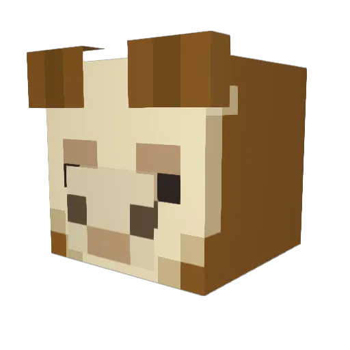anotherera Minecraft avatar head, 3D render