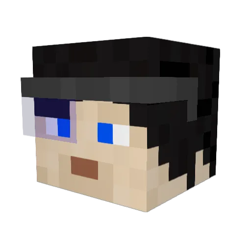 anotyp Minecraft avatar head, 3D render