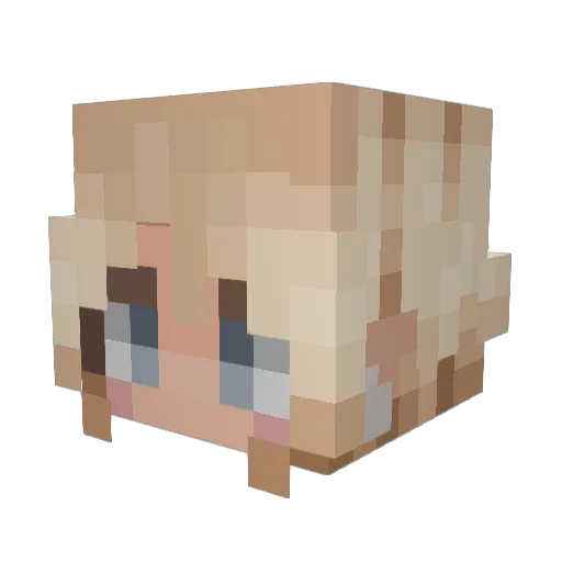 anoveas Minecraft avatar head, 3D render