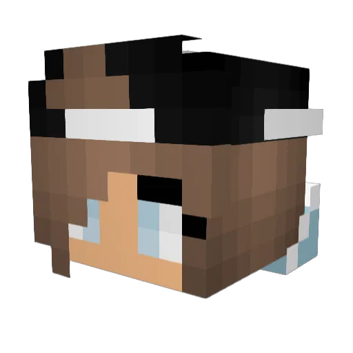 anp20 Minecraft avatar head, 3D render