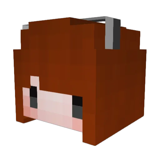 anp56744 Minecraft avatar head, 3D render