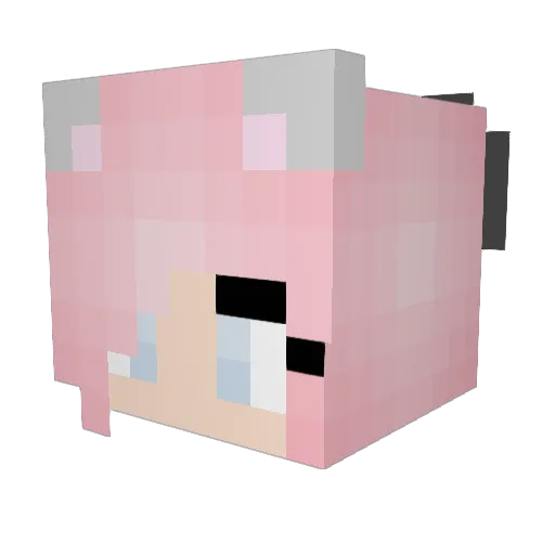 anpiel Minecraft avatar head, 3D render