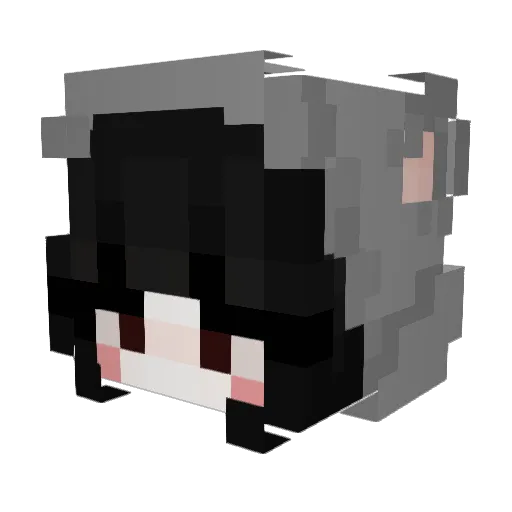 anpom951 Minecraft avatar head, 3D render