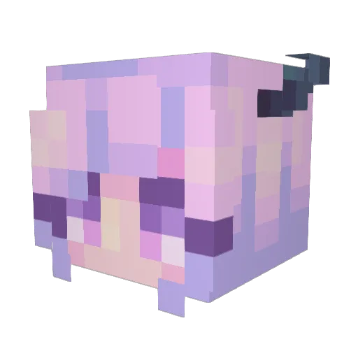 anqila80 Minecraft avatar head, 3D render